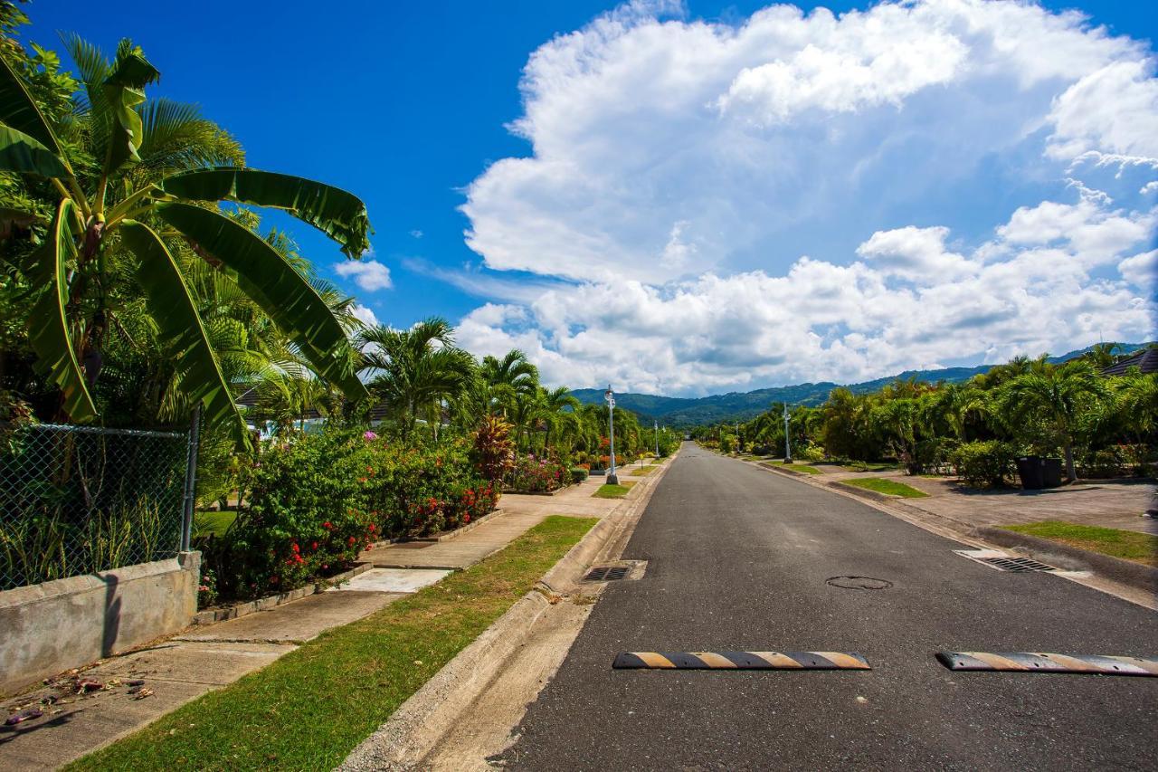 Nature'S Choice Home Richmond Palms, Jamaica Dış mekan fotoğraf